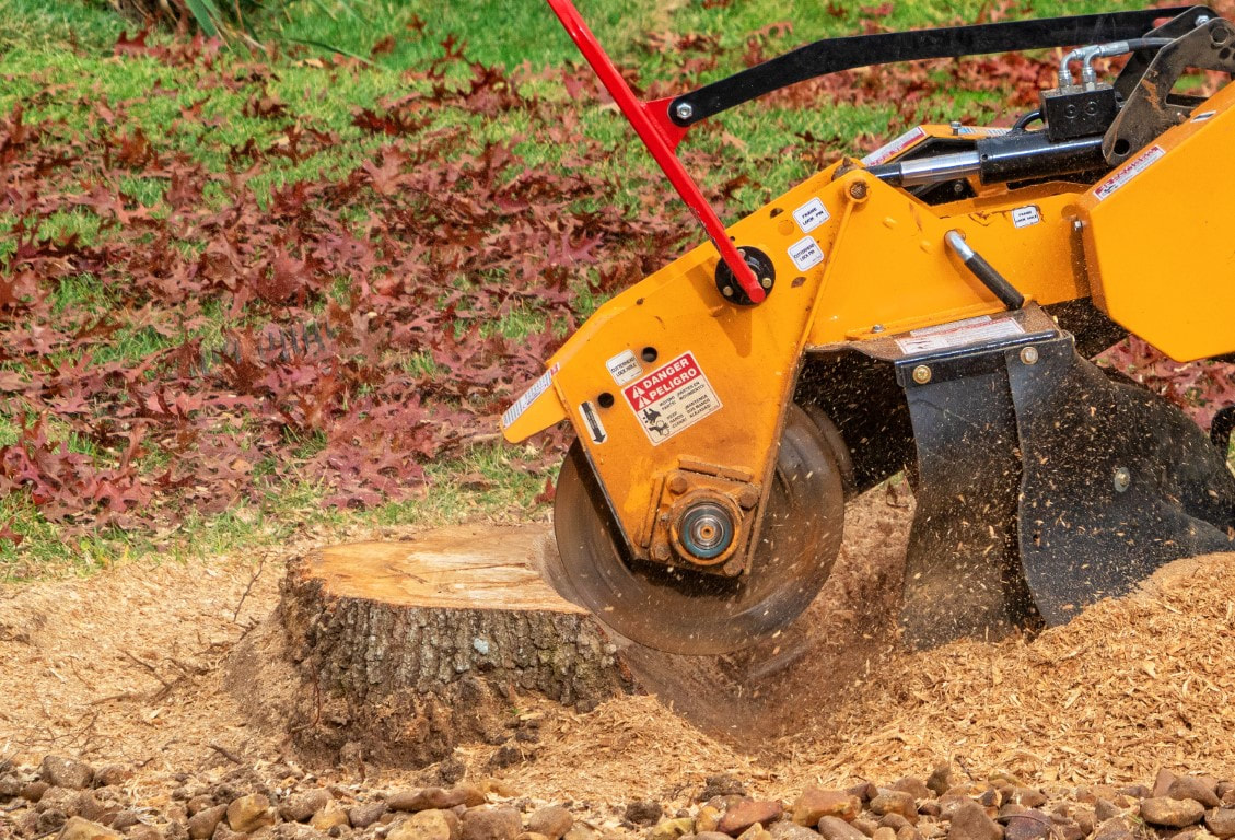 An image of Stump Removal and Grinding Services in Johns Island, SC